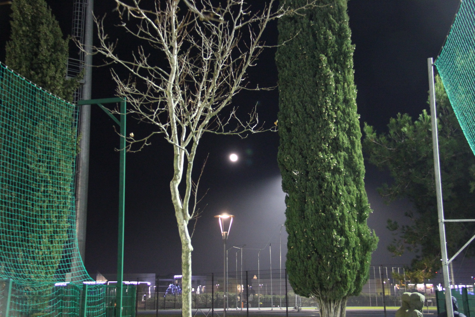 foto partita